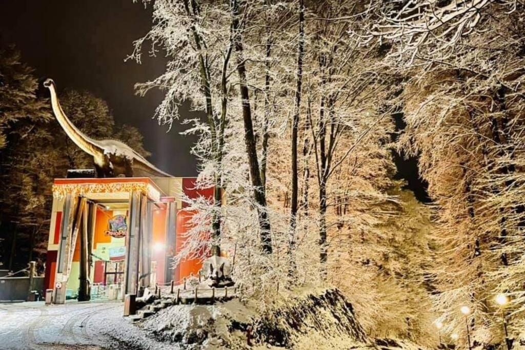 Mario'S Cozy Apartment Rîşnov Exteriér fotografie